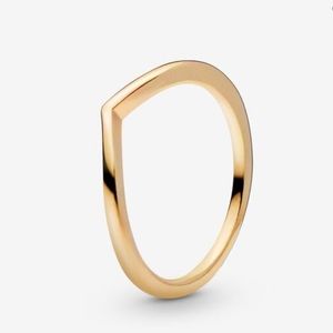 NWT Polished Wishbone Ring